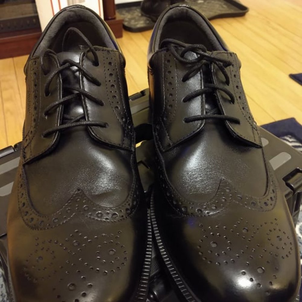 Rockport Wingtip Brogue Dress Shoes
